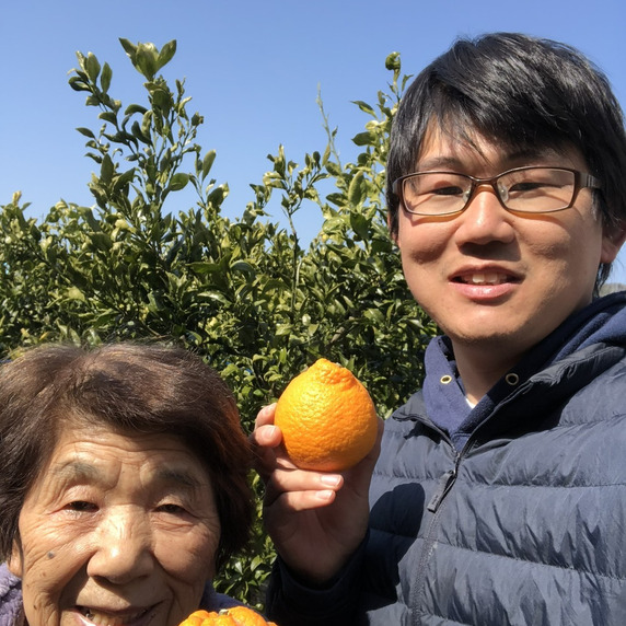 いがみ果樹園 鳴門
