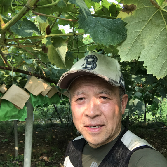 エイチエム（hmファーム）