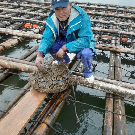 森山水産（鏡オイスター）