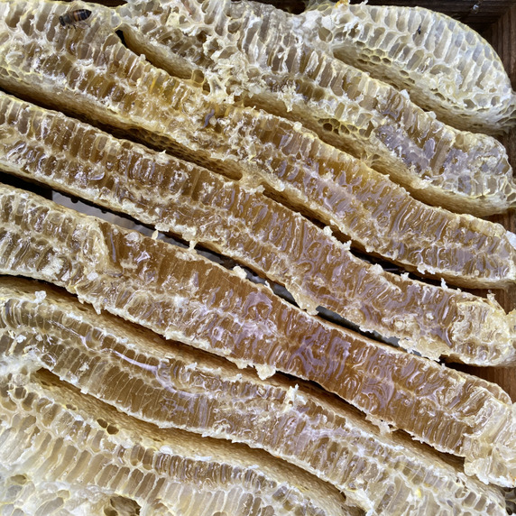 日本ミツバチ専門　吉田養蜂所