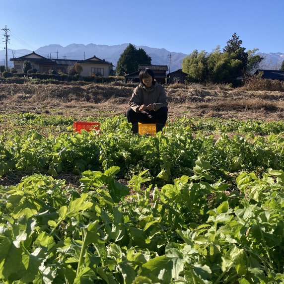 農園かなもとや