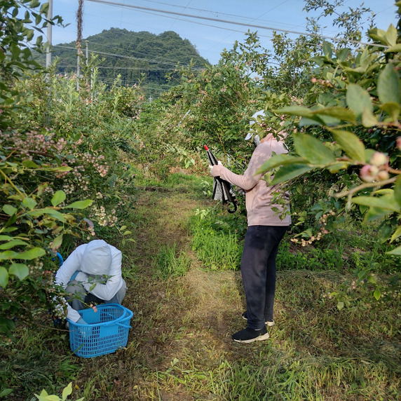 すべての生産者|33ページ目|食べチョク|産地直送(産直)お すべての生産者|33ページ目|食べチョク|産地直送(産直)お
