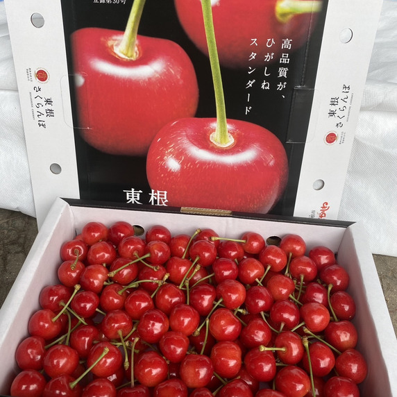 ひかりnouen