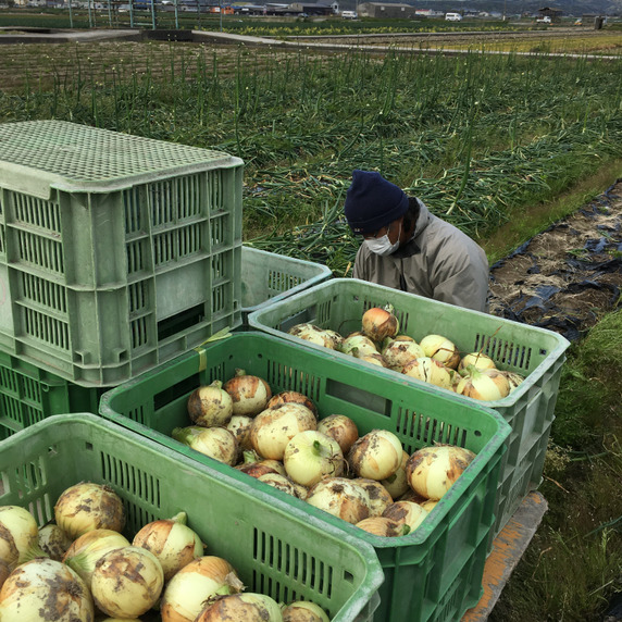 すべての生産者｜136ページ目｜食べチョク｜産地直送(産直)お