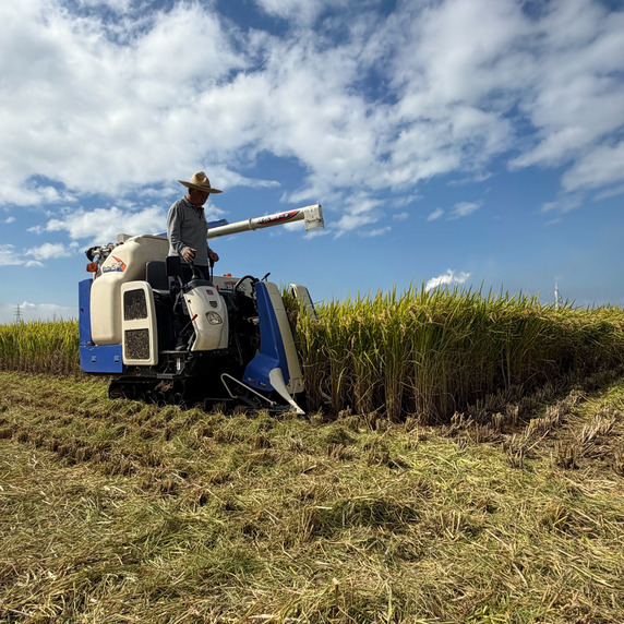 ひまわりファーム