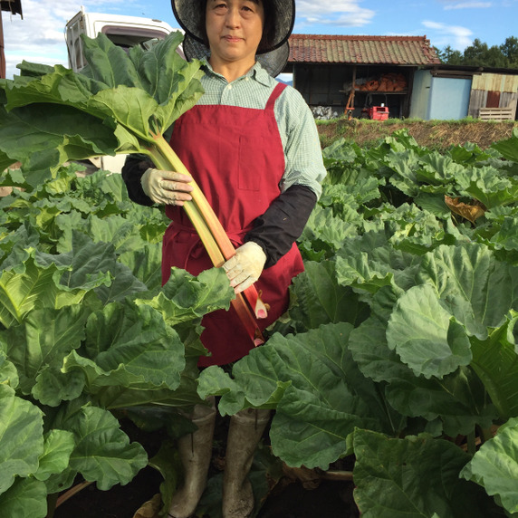 小泉農園