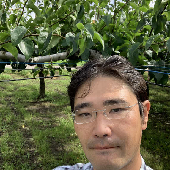 安川梨園