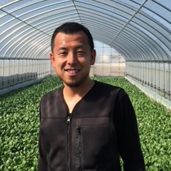 Blue farm