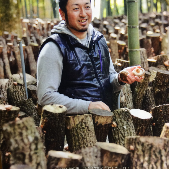 山茸