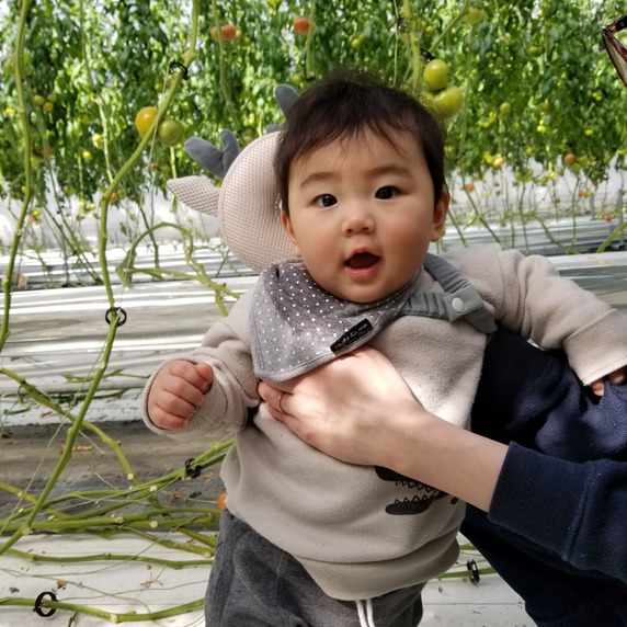 ひかりファーム