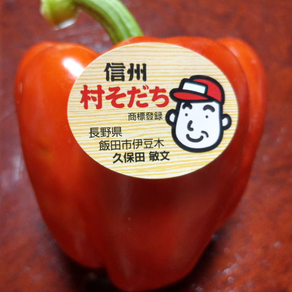 信州～村そだち～