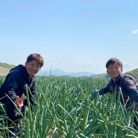 河西青果