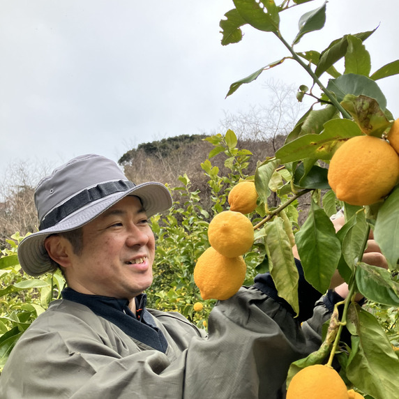 大世渡商会