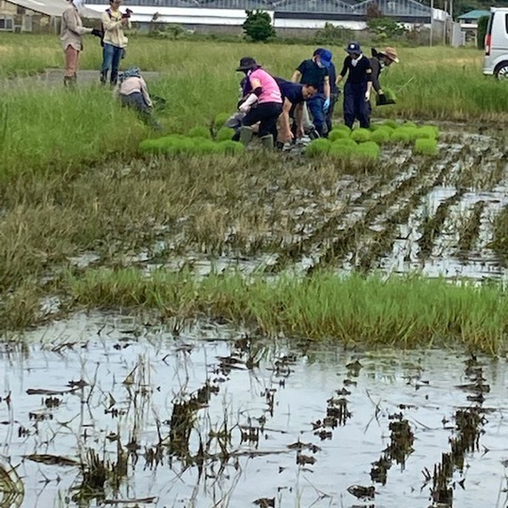 アオシマシステムエンジニアリング