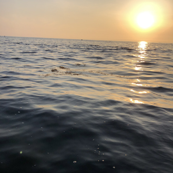 魚武