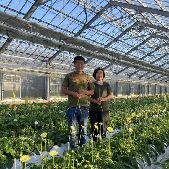 First Company ウメダ花園