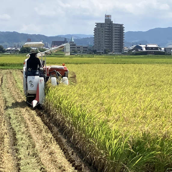 ますだファーム