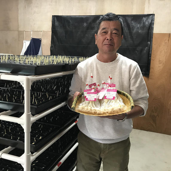 みくりやファクトリー