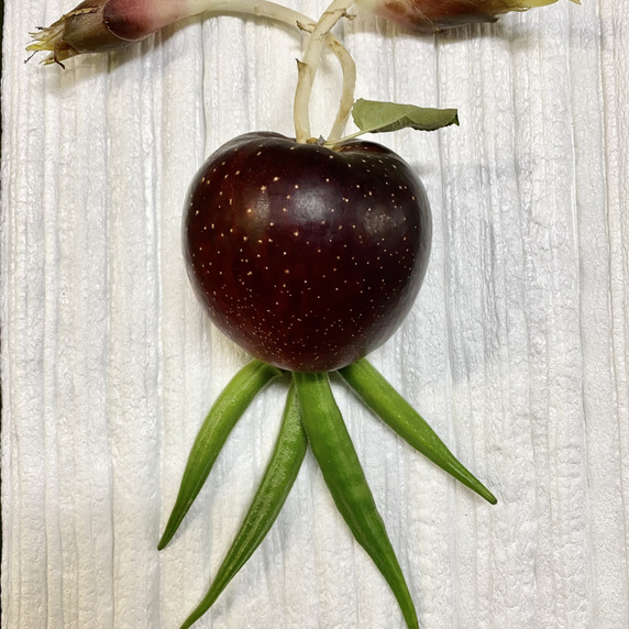 Farmなかじま