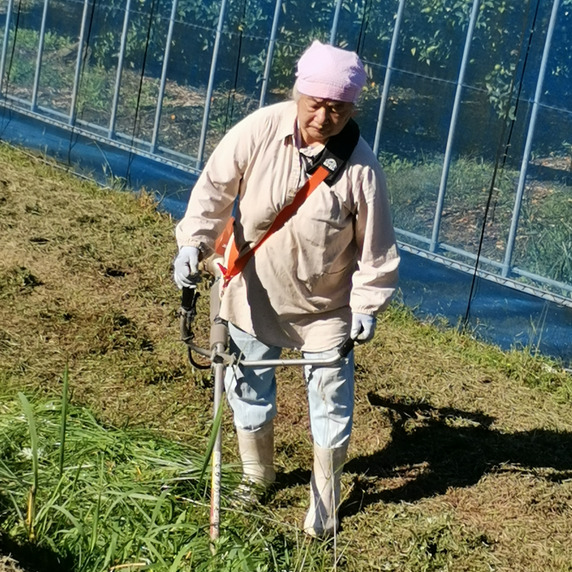 田中果樹園