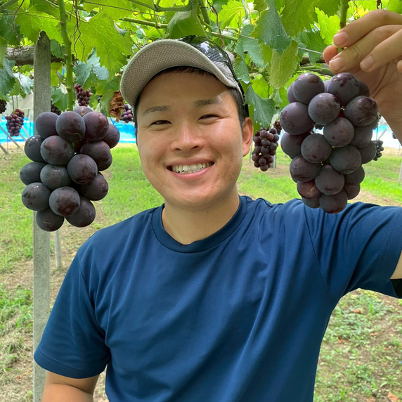 陽乃果フルーツ