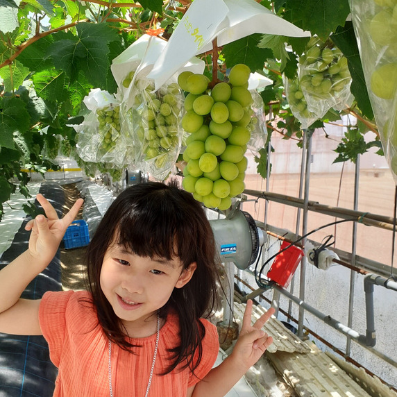 アガタ果樹園(ぶどう）