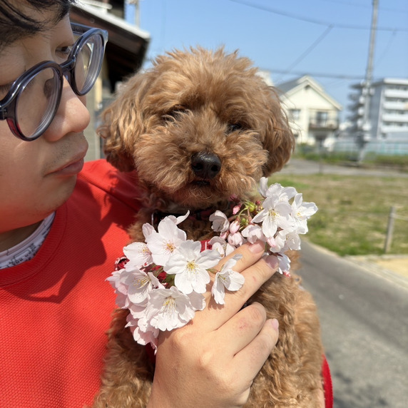 矢野農業