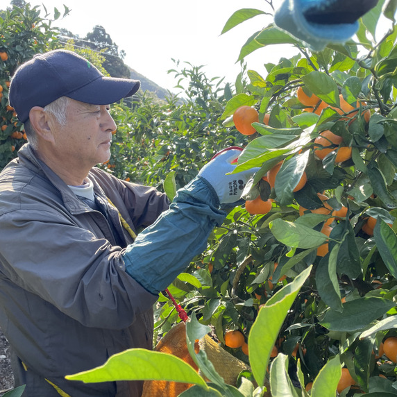 とっちゃんふぁーむ