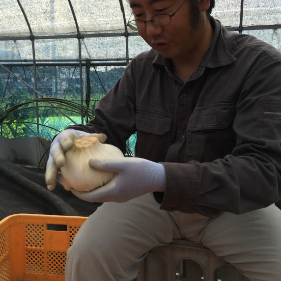 下嶋昌行（下嶋さんちの健康農園）