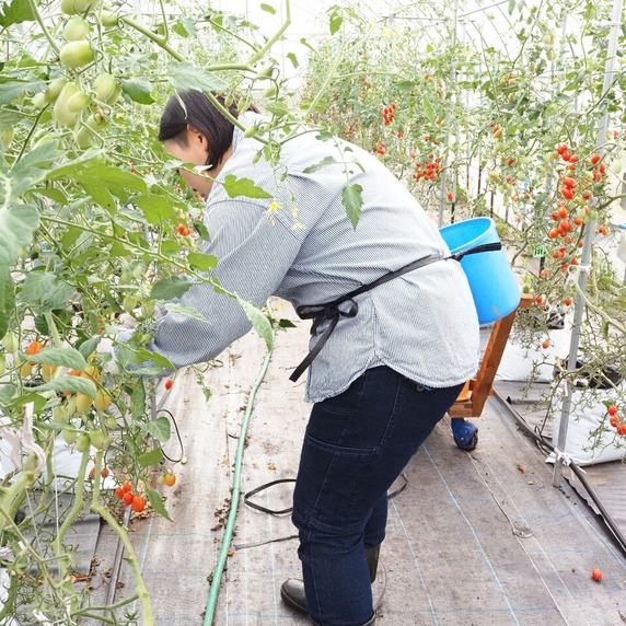 笠井果菜園