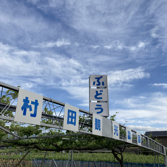 村田観光農園