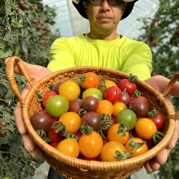 Farm & Firm かたもと