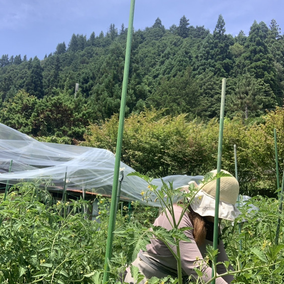 土屋自然農園