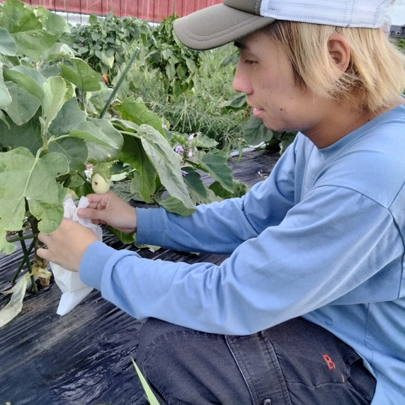One life for farm