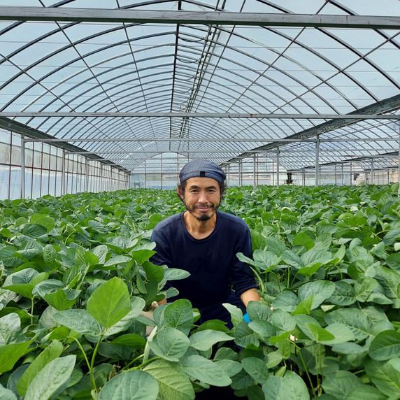 清水産直ファーム