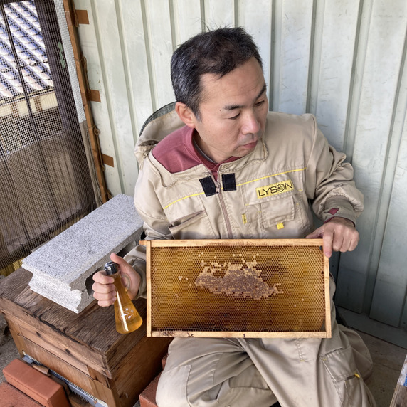 ひょうご丹波五大山養蜂