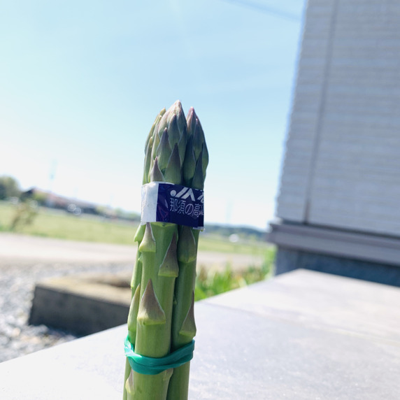 髙江アスパラ農園