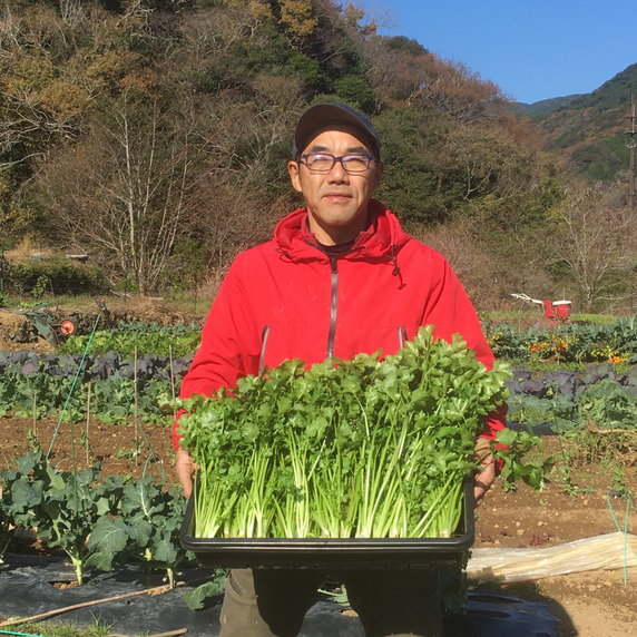 よしだ野菜ファーム