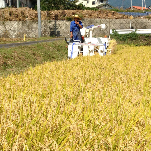 ファーム富沢