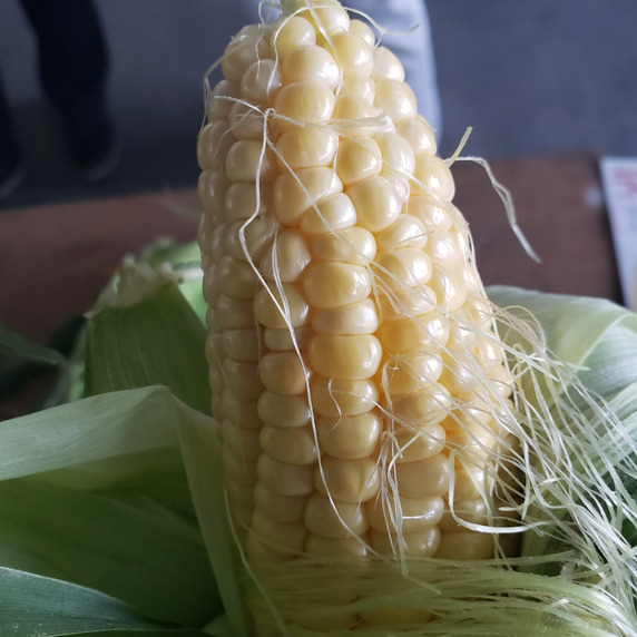anfarm