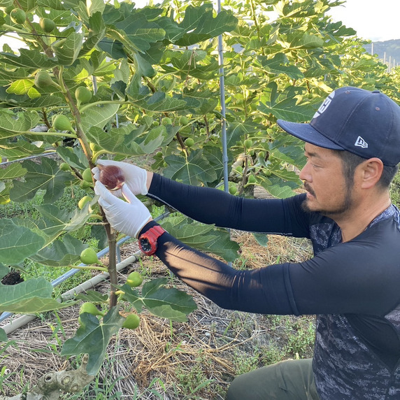 NaruFarm（ナルファーム）