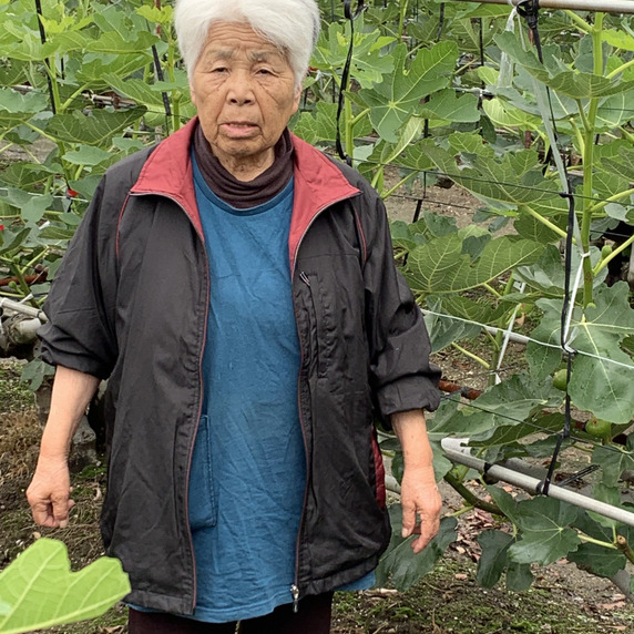 鈴木農園