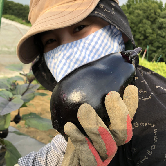 ごんちゃんfarm