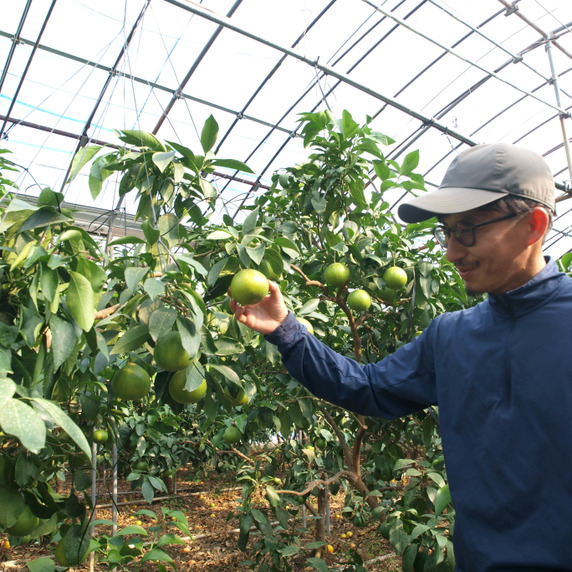 坂口農園