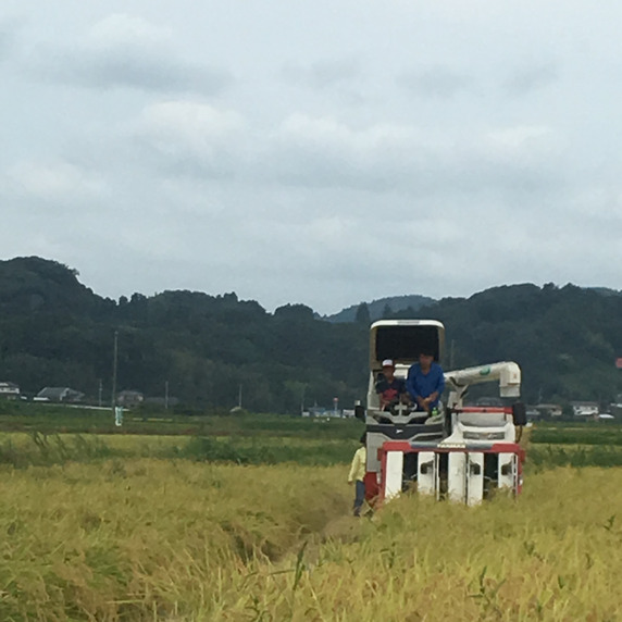 安西farm