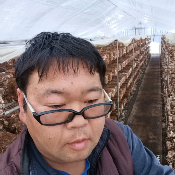 髙橋しいたけ園