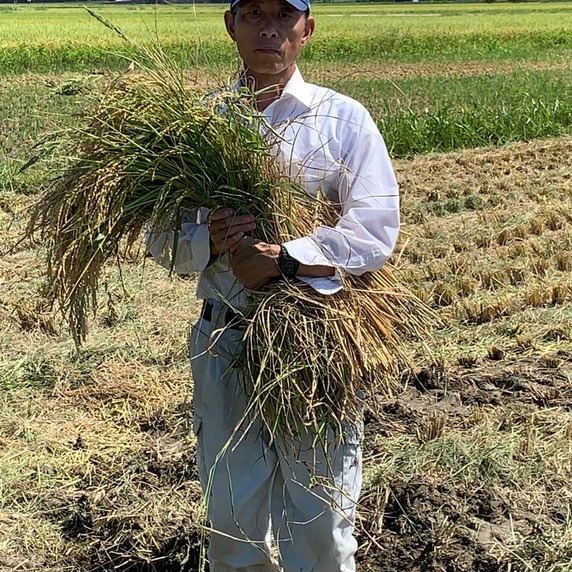 シマダ農園