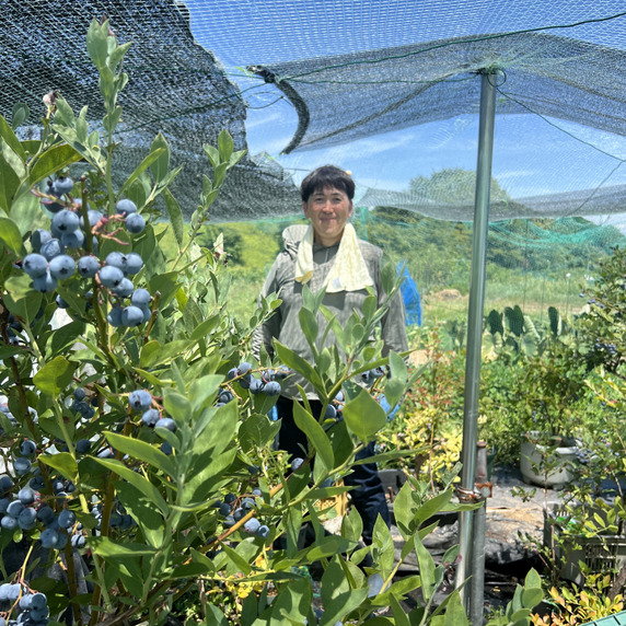 マッツファーム