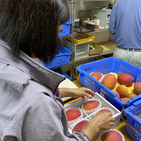 志慶真ファーム