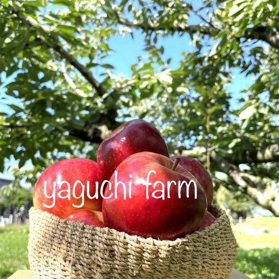 yaguchi farm